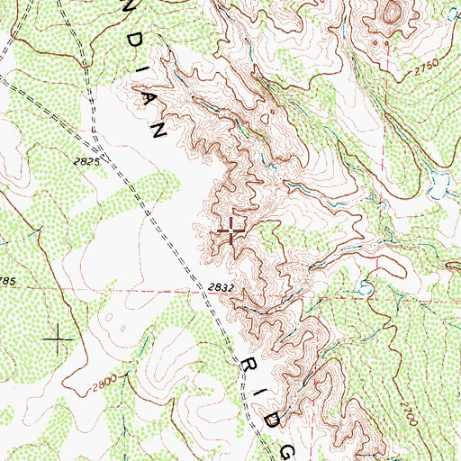 Topographic Map of Indian Ridge, TX