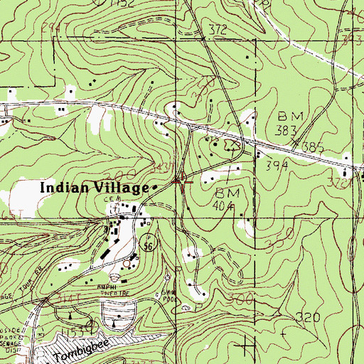 Topographic Map of Indian Village, TX