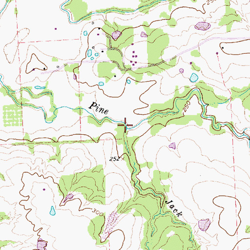 Topographic Map of Jack Branch, TX
