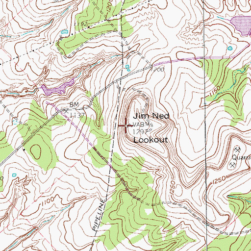 Topographic Map of Jim Ned Lookout, TX