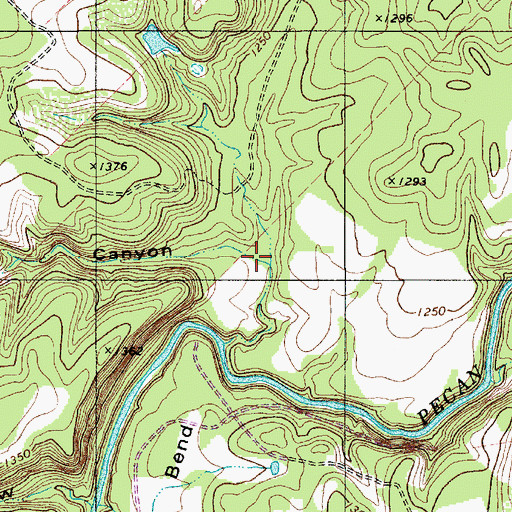 Topographic Map of Jones Canyon, TX