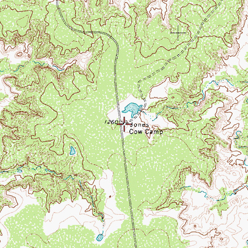 Topographic Map of Jones Cow Camp, TX