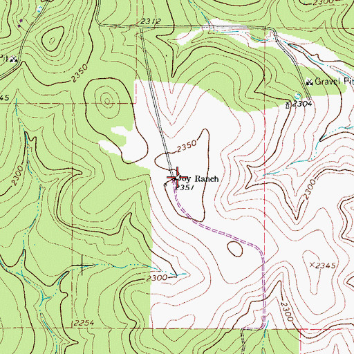 Topographic Map of Joy Ranch, TX