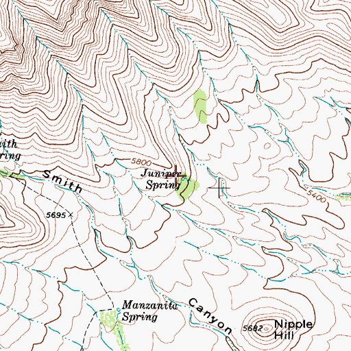 Topographic Map of Juniper Spring, TX