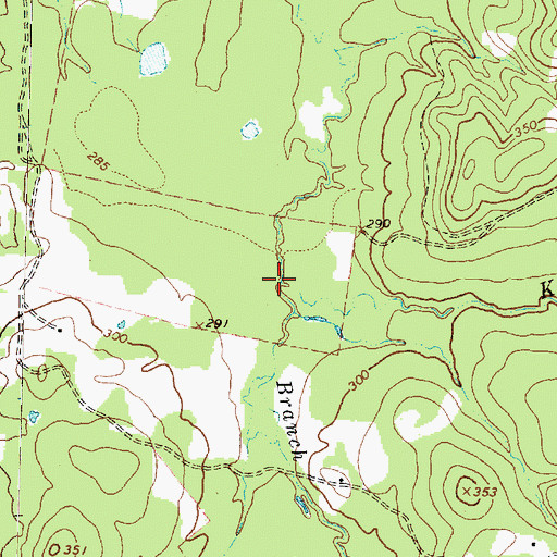 Topographic Map of Kelso Branch, TX