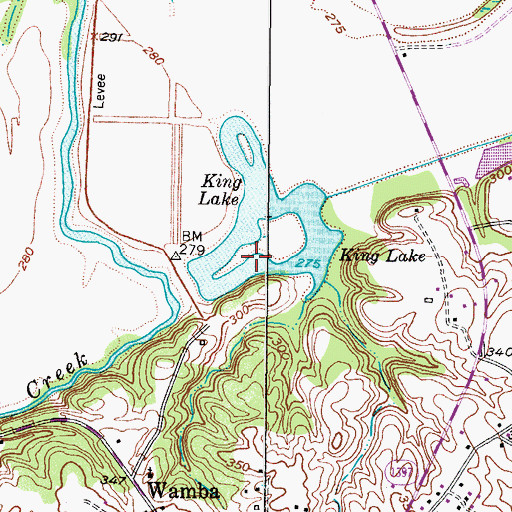 Topographic Map of King Lake, TX