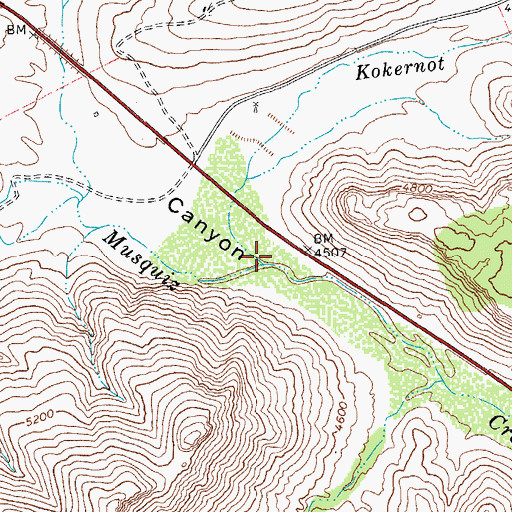 Topographic Map of Kokernot Creek, TX