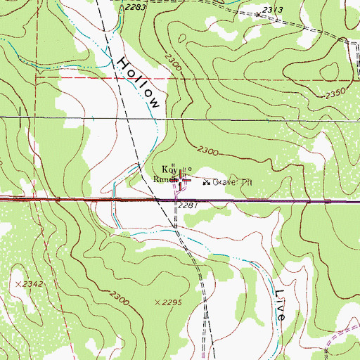 Topographic Map of Koy Ranch, TX