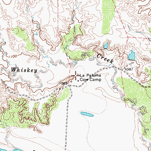 Topographic Map of La Paloma Cow Camp, TX