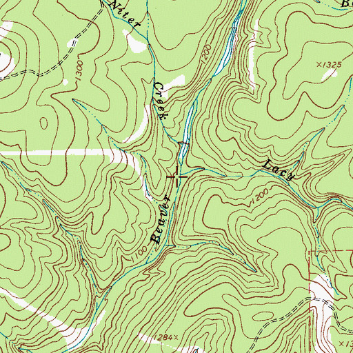 Topographic Map of Lacy Creek, TX
