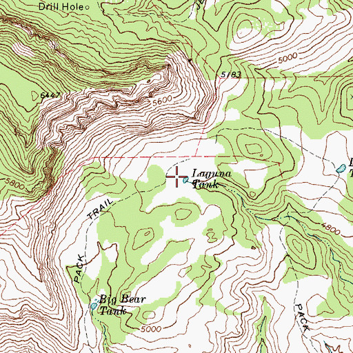 Topographic Map of Laguna Tank, TX