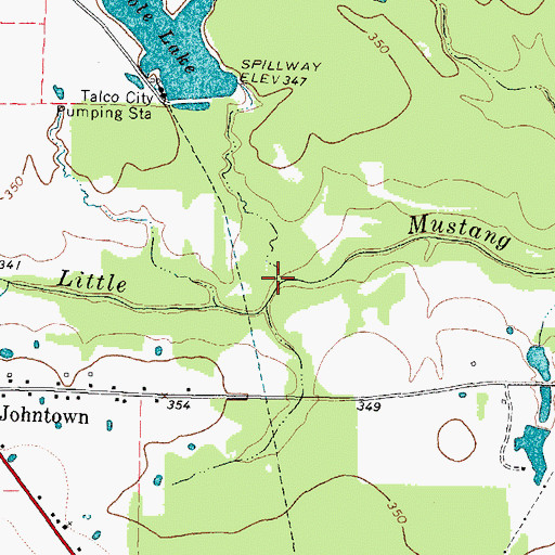 Topographic Map of Lake Branch, TX