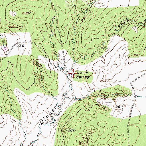 Topographic Map of Lamb Spring, TX