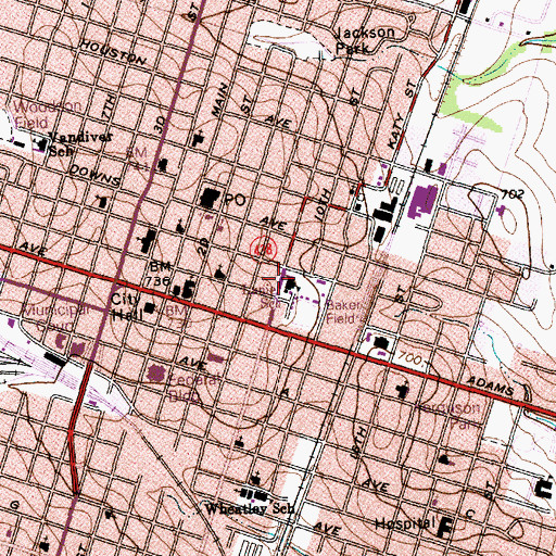 Topographic Map of Lanier School, TX