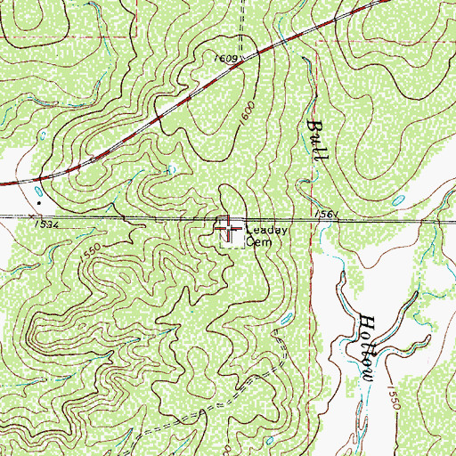 Topographic Map of Leaday Cemetery, TX