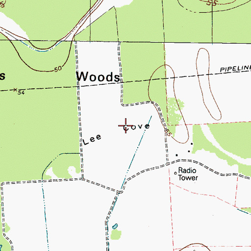 Topographic Map of Lee Cove, TX