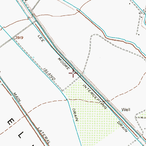 Topographic Map of Lee Moore Intercepting Drain, TX