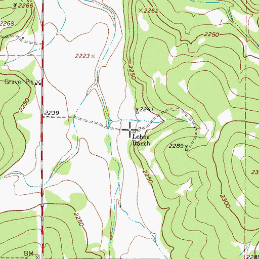 Topographic Map of Lehne Ranch, TX