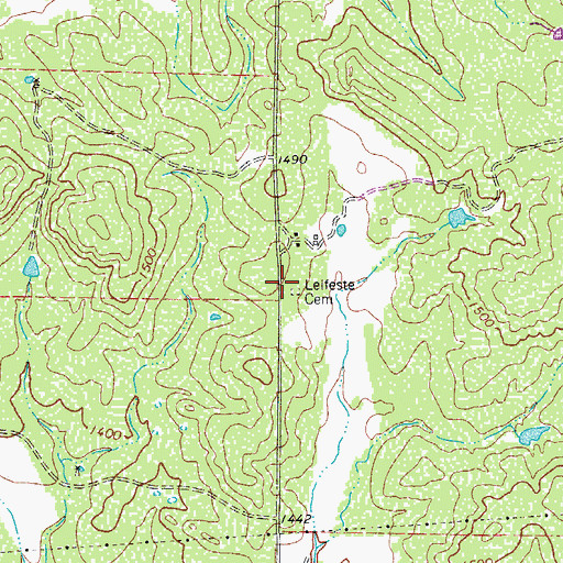 Topographic Map of Leifeste Cemetery, TX