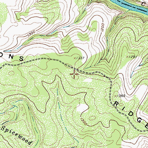 Topographic Map of Lemons Ridge, TX