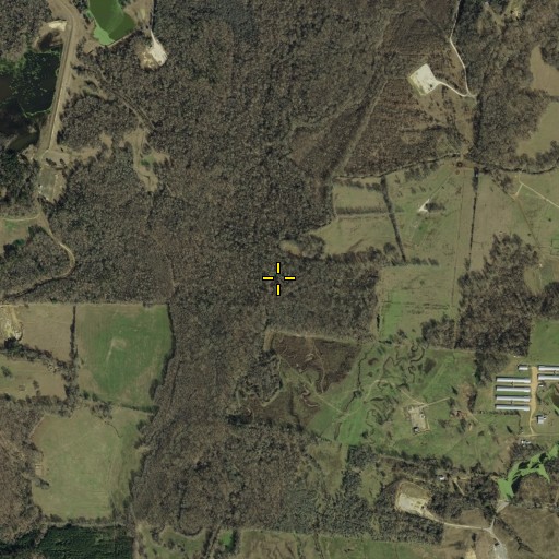 Aerial/Satellite Image of Lick Creek, TX