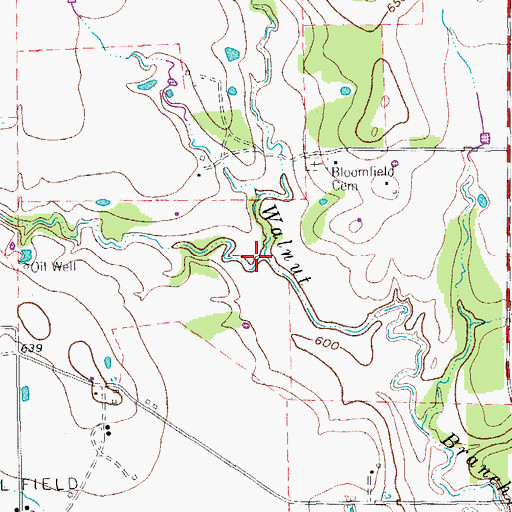 Topographic Map of Lick Creek, TX