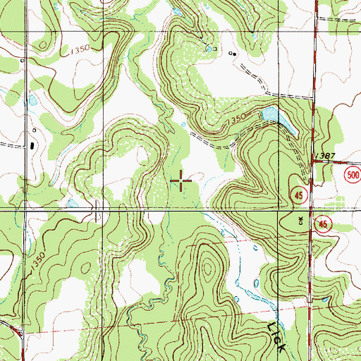 Topographic Map of Lick Hollow, TX