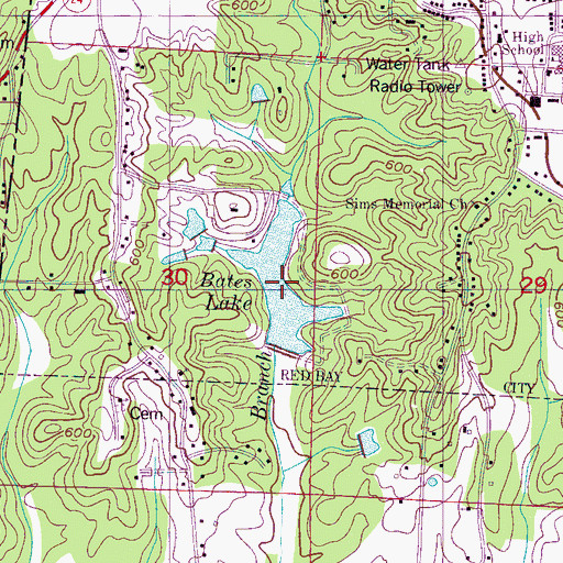 Topographic Map of Bates Lake, AL
