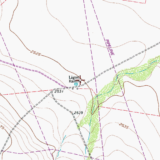 Topographic Map of Ligon Ranch, TX