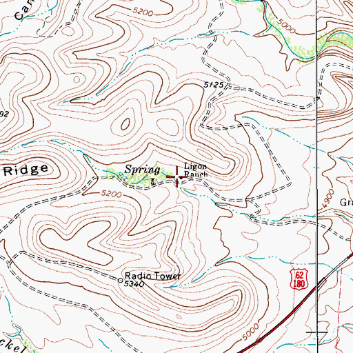 Topographic Map of Ligon Ranch, TX