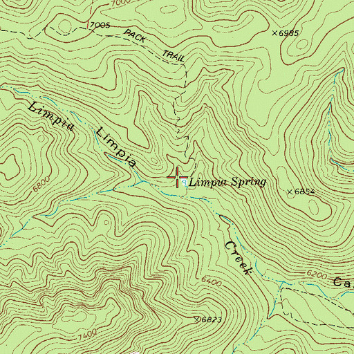 Topographic Map of Limpia Spring, TX