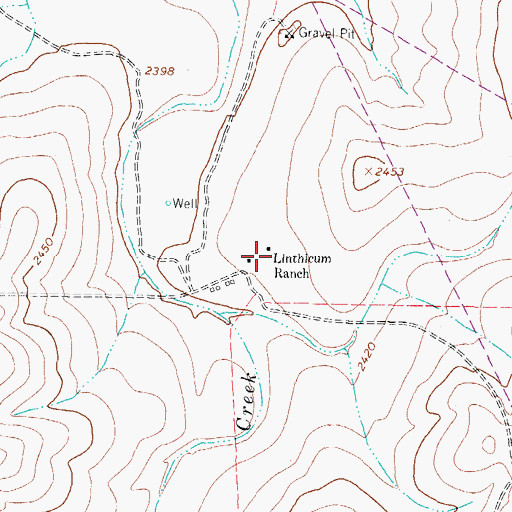 Topographic Map of Linthicum Ranch, TX