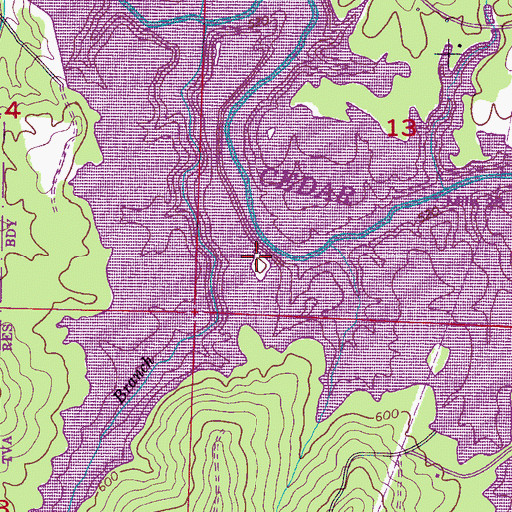 Topographic Map of Blue Lick Cemetery, AL