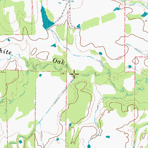 Topographic Map of Little Bayou, TX