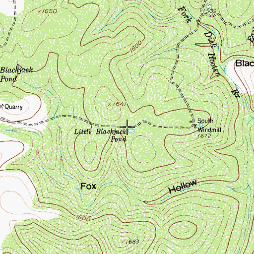 Topographic Map of Little Blackjack Pond, TX