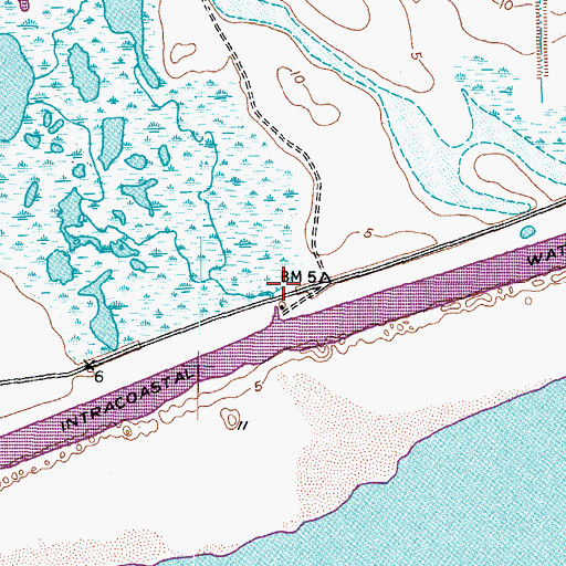 Topographic Map of Little Boggy Creek, TX