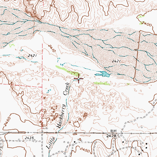 Topographic Map of Little Hackberry Creek, TX
