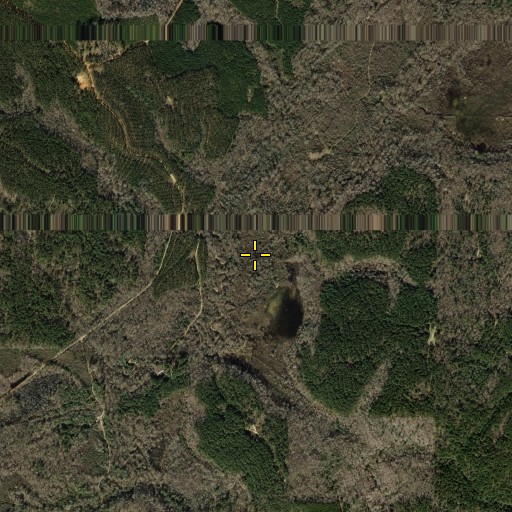 Aerial/Satellite Image of Little Iron Ore Creek, TX