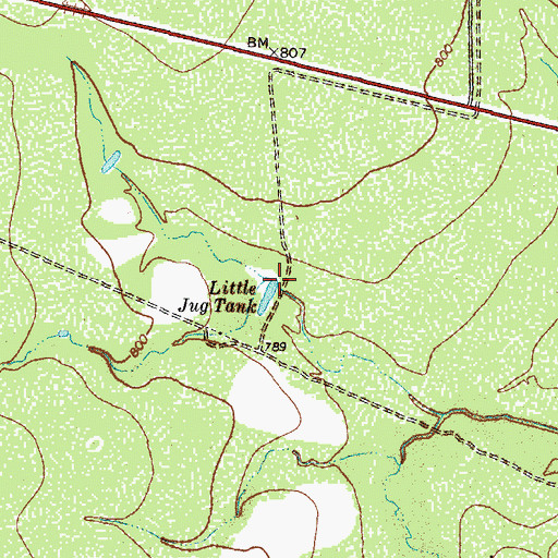 Topographic Map of Little Jug Tank, TX