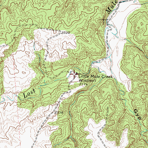 Topographic Map of Little Mule Creek Windmill, TX
