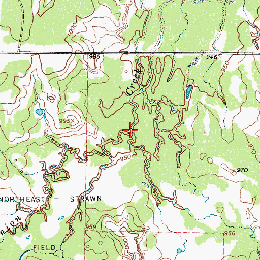Topographic Map of Little Onion Creek, TX