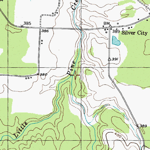 Topographic Map of Little Pine Branch, TX
