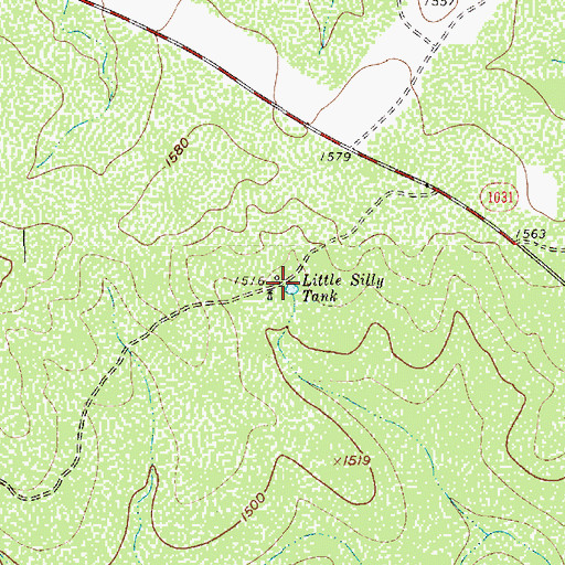 Topographic Map of Little Silly Tank, TX