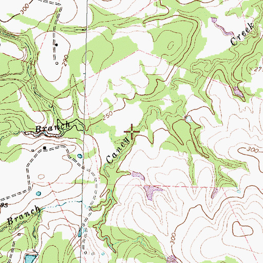 Topographic Map of Little Spring Branch, TX