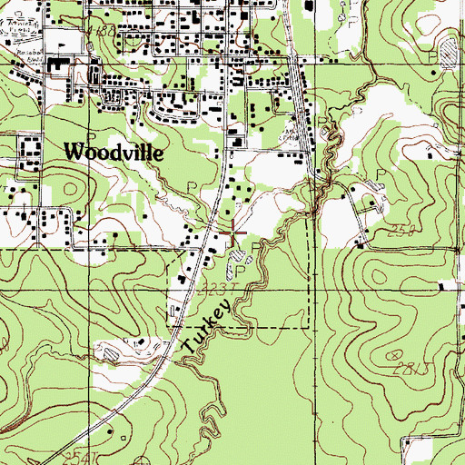 Topographic Map of Little Turkey Creek, TX