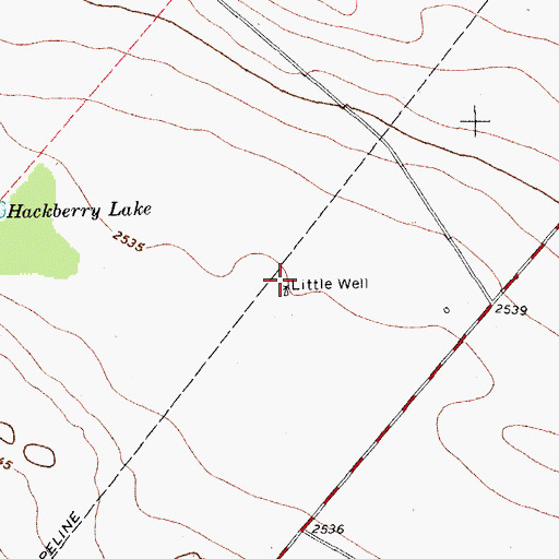 Topographic Map of Little Well, TX
