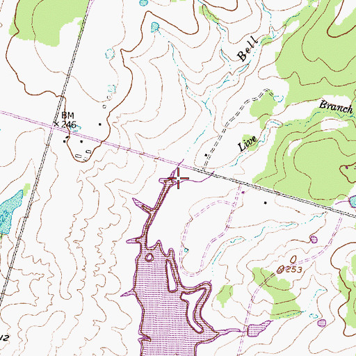 Topographic Map of Live Branch, TX