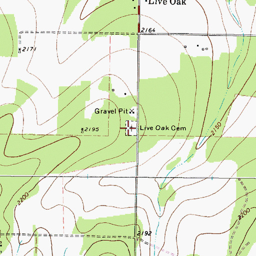 Topographic Map of Live Oak Cemetery, TX