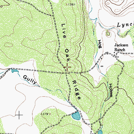 Topographic Map of Live Oak Ridge, TX