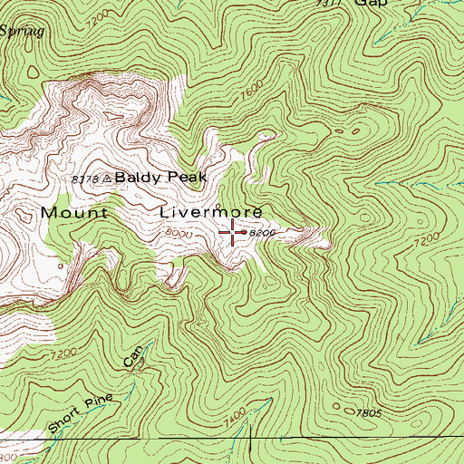 Topographic Map of Mount Livermore, TX